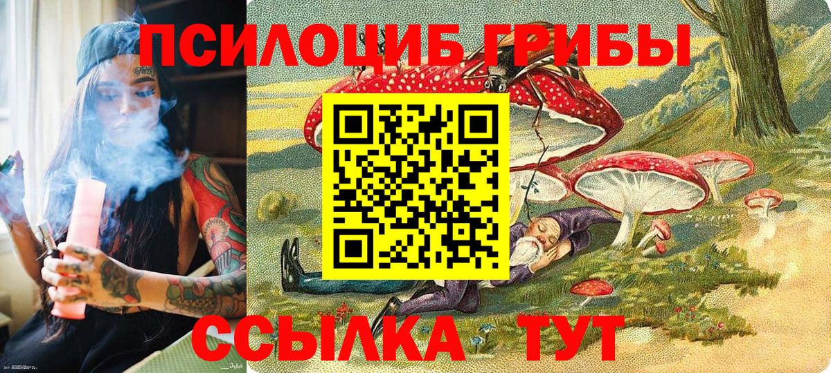 Псилоцибиновые грибы Psilocybe Абинск